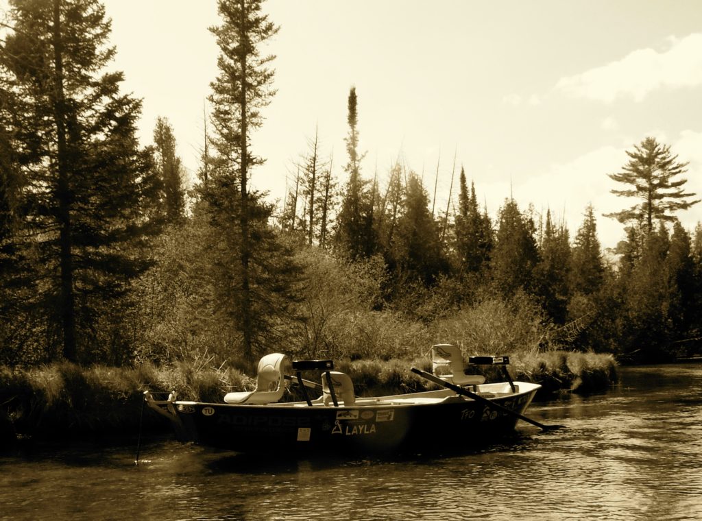 Adipose Flow~ Skiff design is hybrid of long boat and high side Hyde