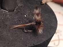 Michigan Fly History