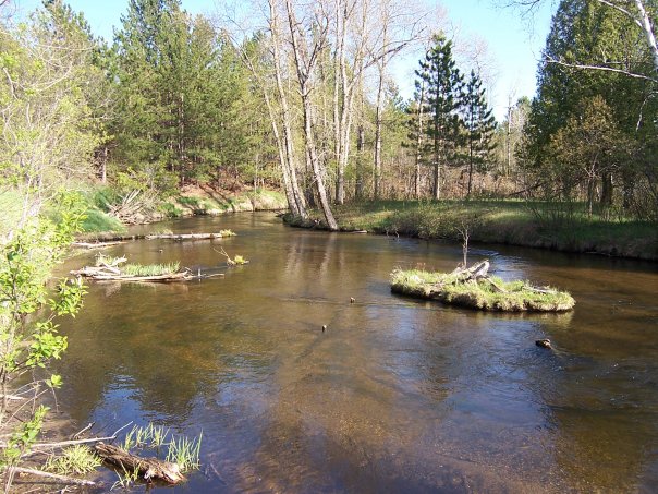 Expedition Grayling