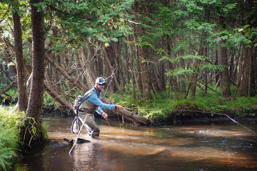 Discover small skinny creeks when the mercury rises in August.